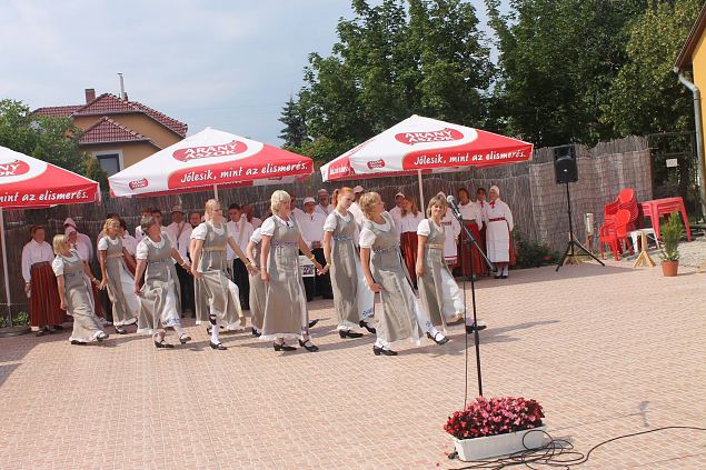 Tudulinna laulu-mnguselts. Rabarooside osalemine folkloorfestivalil 2013 a Ungaris. 